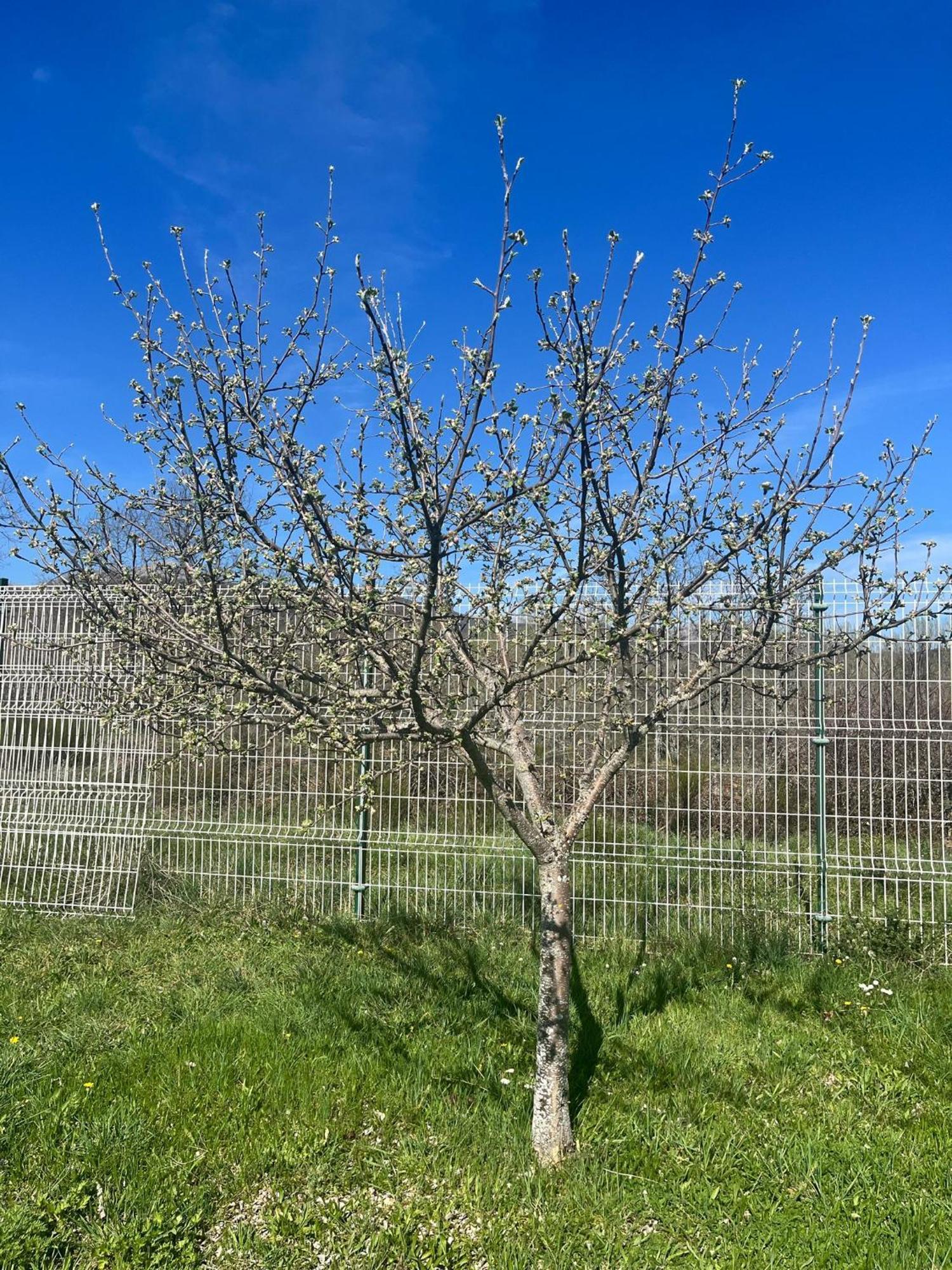 Cuatro Valles Séjour à la campagne *