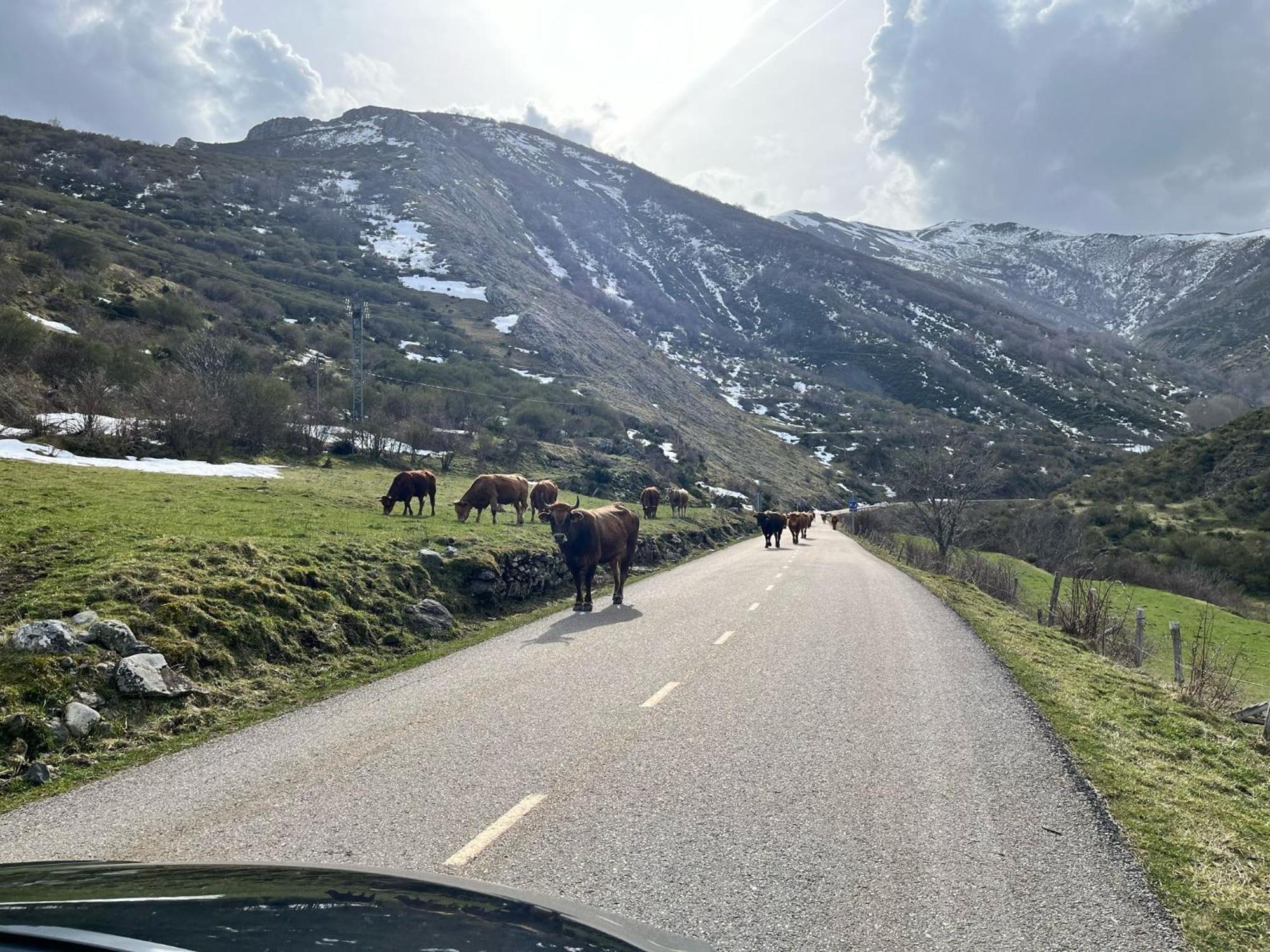 Séjour à la campagne Cuatro Valles Naredo de Fenar